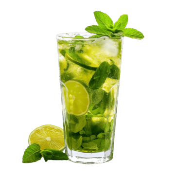 Virgin Mojito